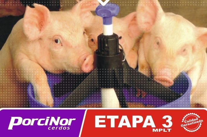 ETAPA 3 PORCINOR ETAPA 3 PORCINOR