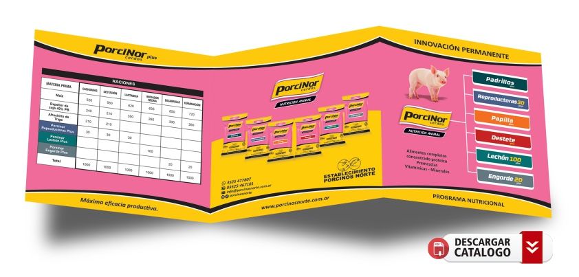 FOLLETO PORCINOR CERDOS